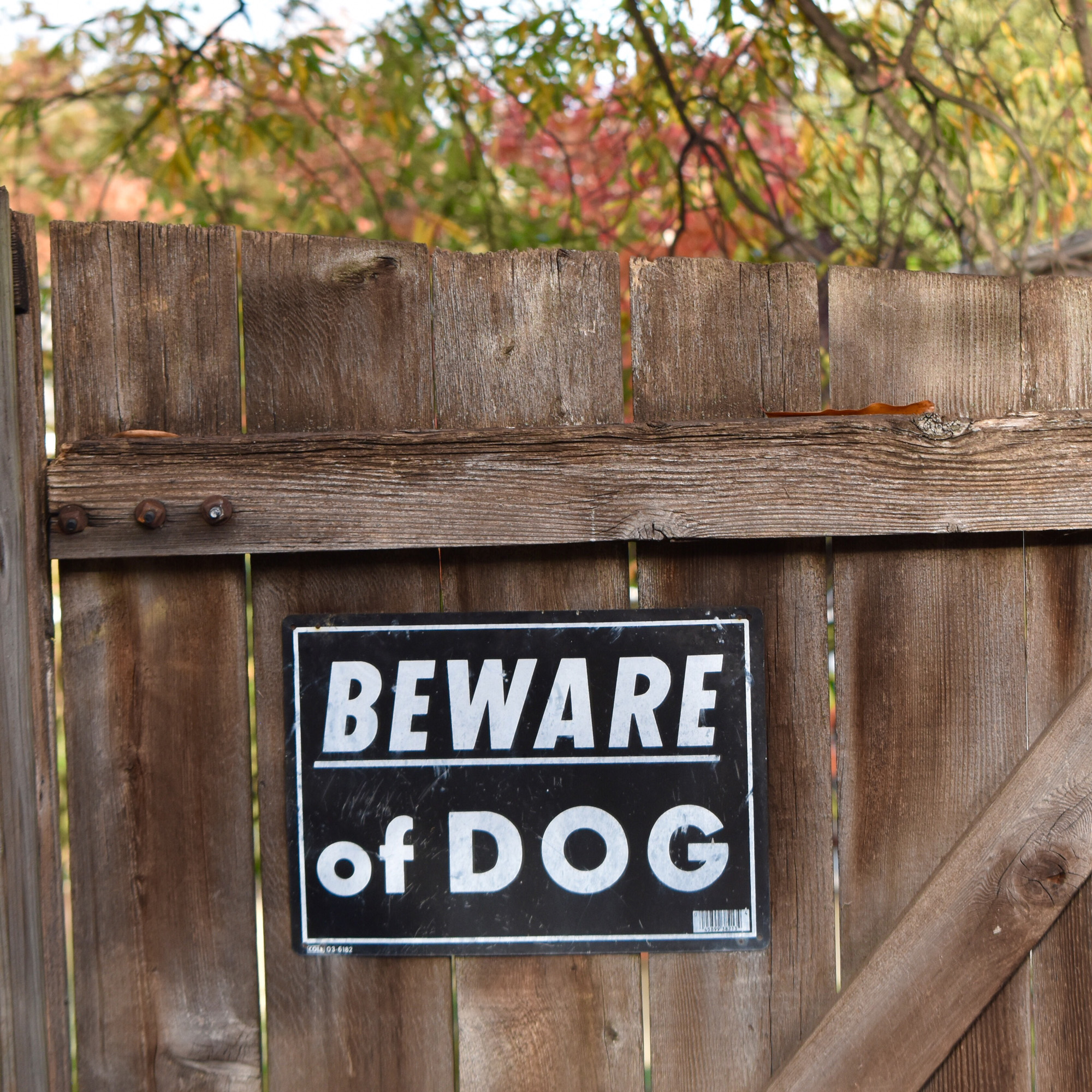 Beware of dog sign on fence