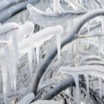 Winter storm tips | Ice covers tree and limbs