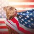 Avoid Fourth of July Disasters: Critical Fireworks, Pet, and Home Security Warnings You Can't Ignore!