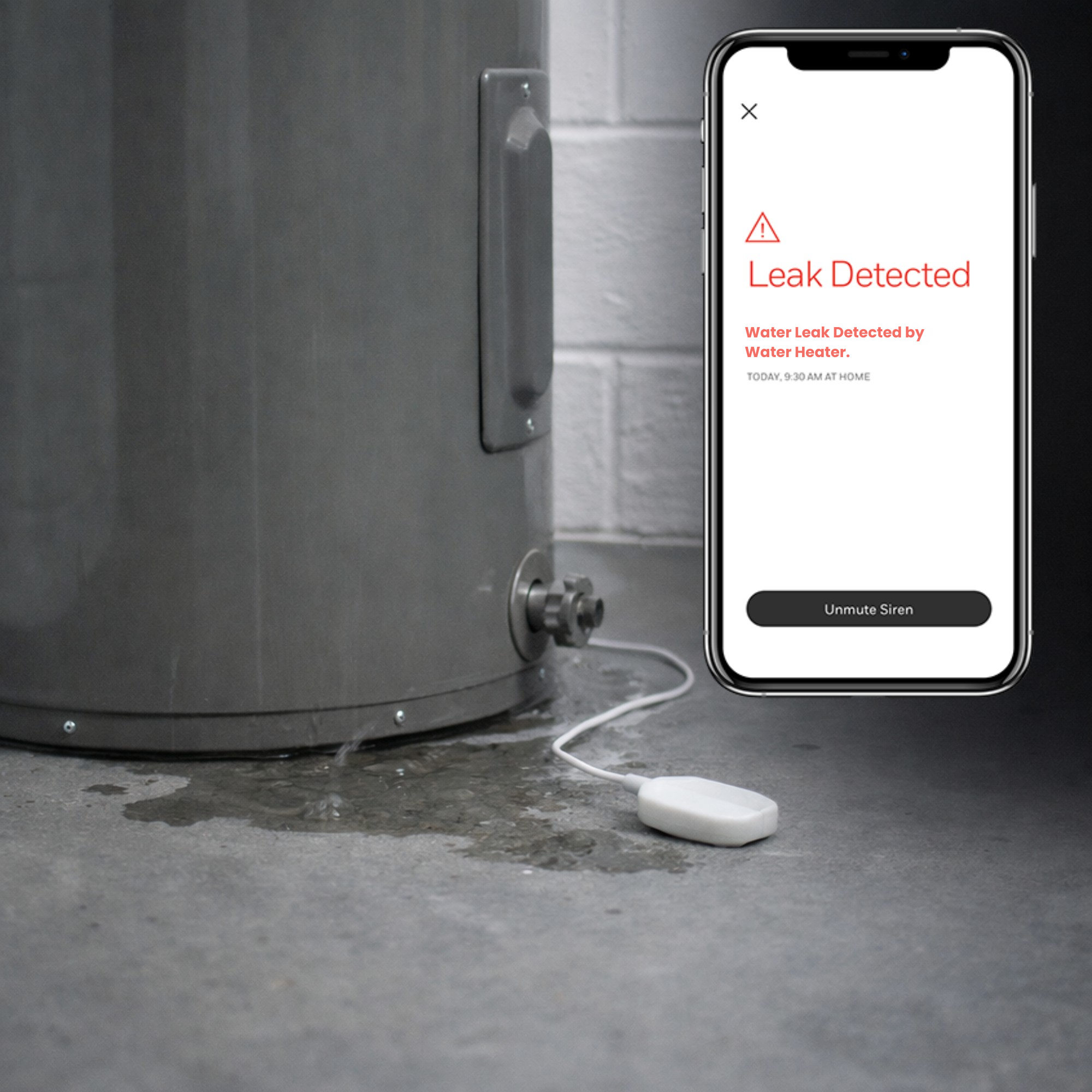 The Silent Threat: How Leak Detection and Professional Monitoring Save Your Home